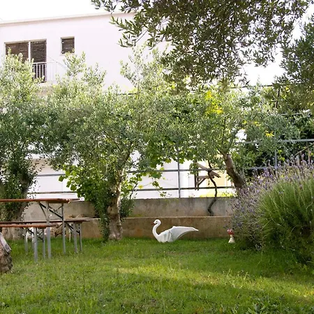 Pepi 2 Zadar